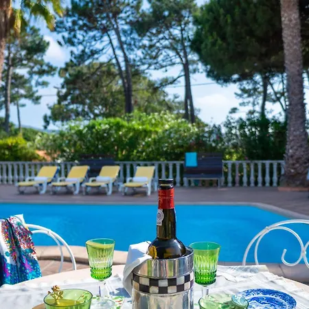 Schoenes In Mit Privatem Pool Ferienhaus